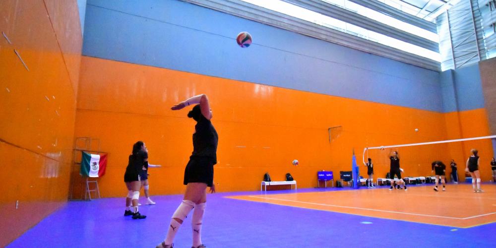 Total 74 Imagen Escuelas De Voleibol En Guadalajara Viaterramx 3982